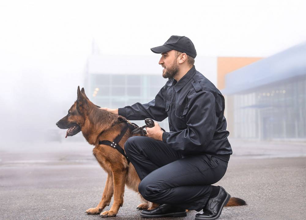 Chien de garde avec agent de sécurité