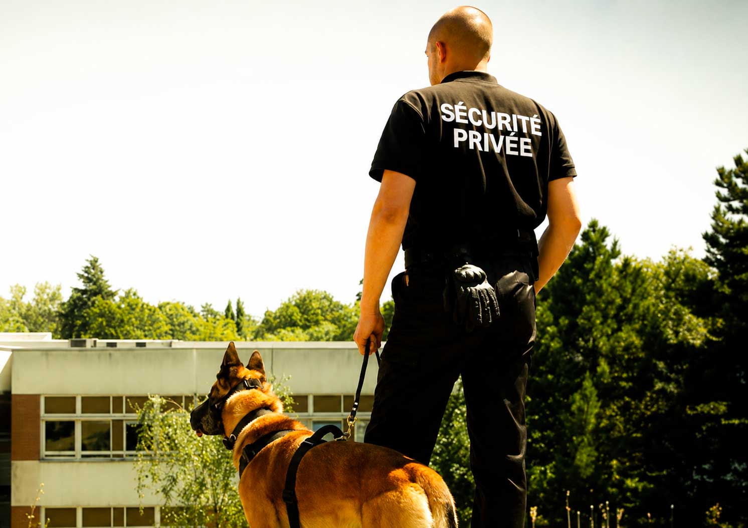 Chien de garde avec agent de sécurité privé en patrouille